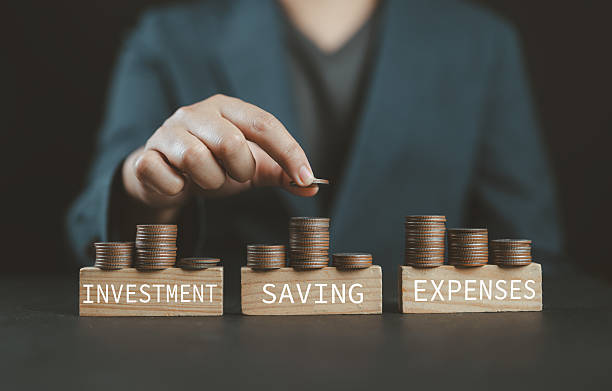 pedrovazpaulo wealth investment