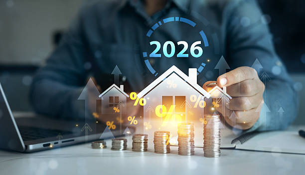 pedrovazpaulo wealth investment