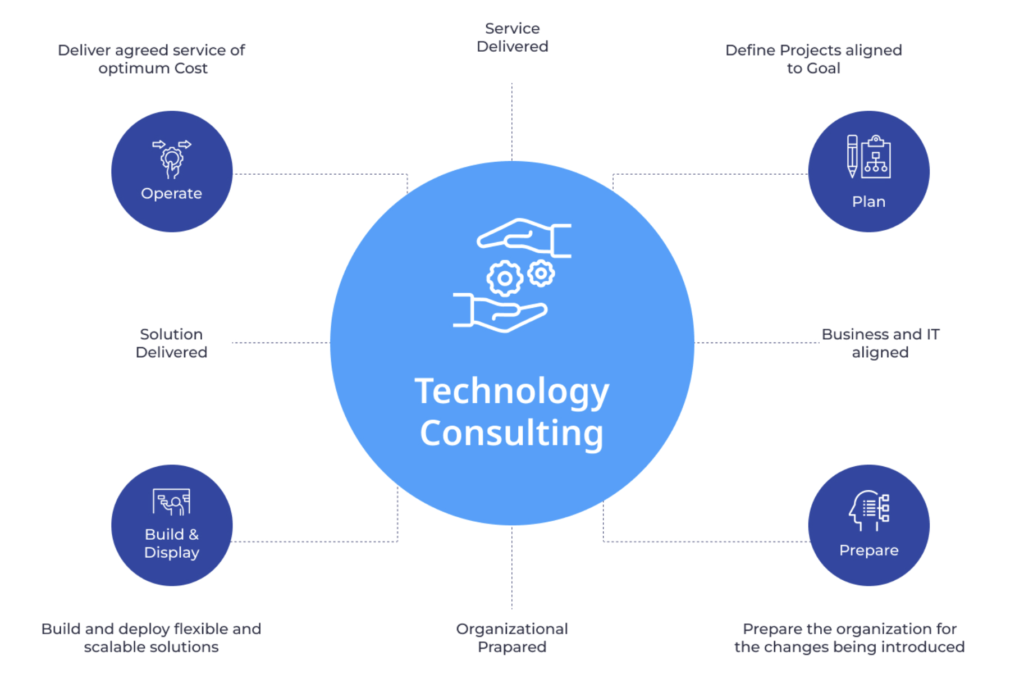 pedro vaz paulo it consulting