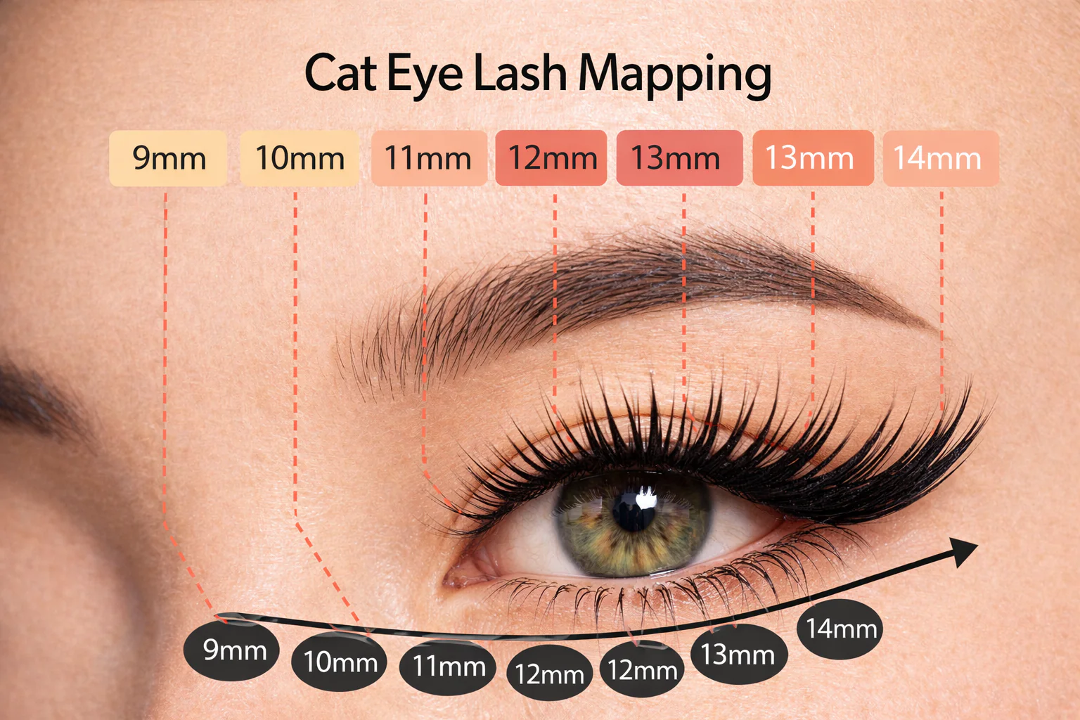 cat eye lash map