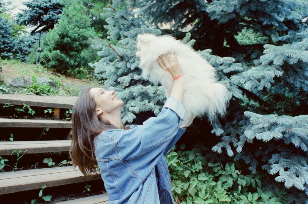 weird dog gif